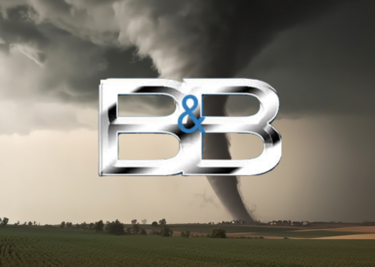 The Bold And The Beautiful