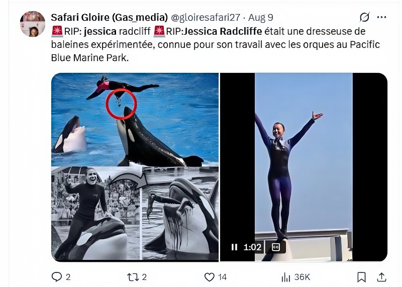 Videp footage trended on social media X