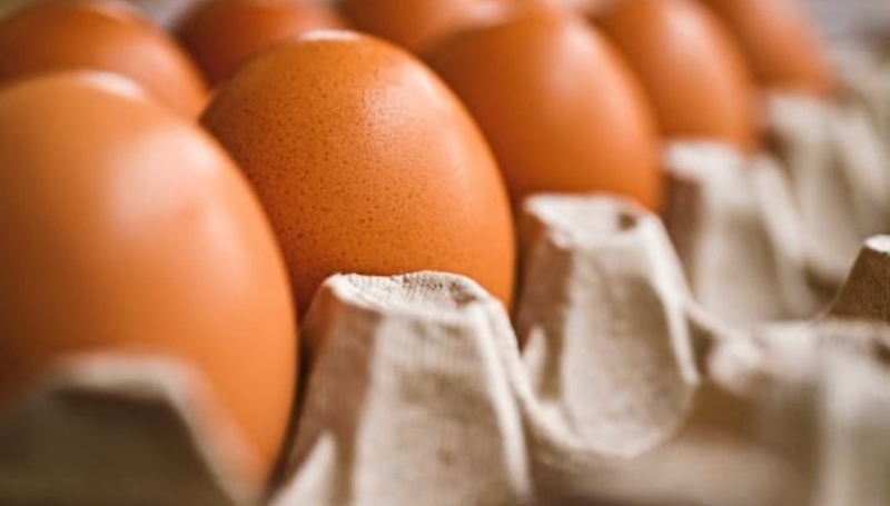 Eggs can have salmonella bacteria - Image credit - CCO akirEVarga - Pixabay