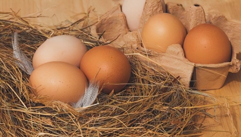 FDA issue free-range product recall for egg brand - CCO - Couleur - Pixabay