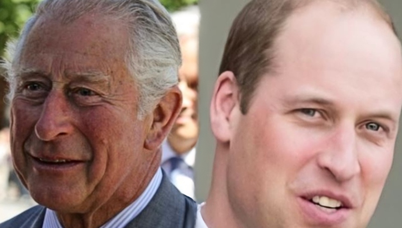 King Charles and Prince William - YouTube collation