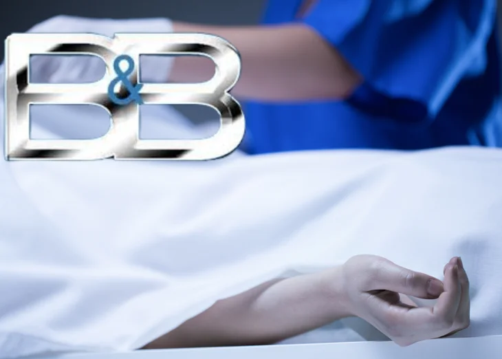 The Bold and the Beautiful 