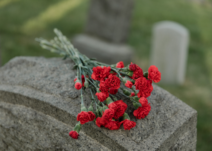 The Bold And The Beautiful