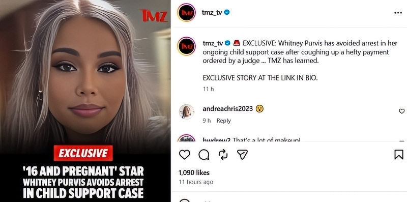 Whitney's child support post - @TMZ - Instagram
