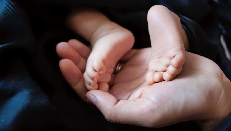Celeb Babies in 2026 - Image credit - CCO bingngu93 - Pixabay