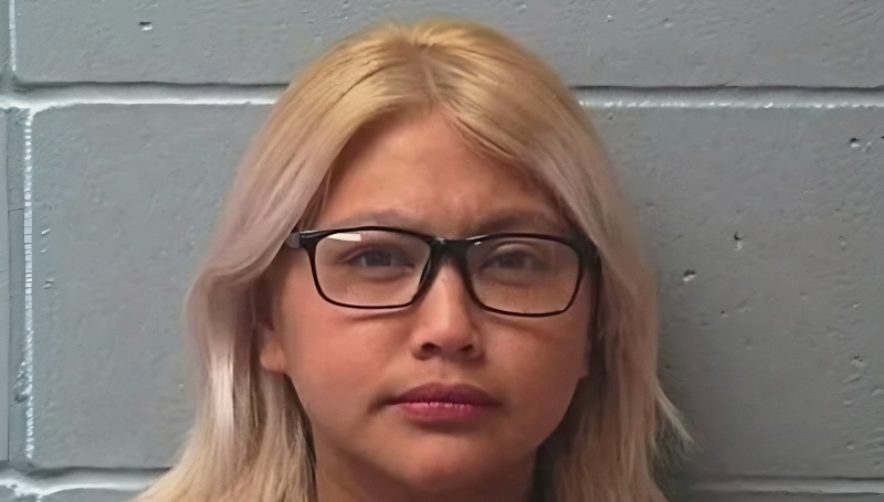 Leida's previous mug shot - Adams County Sheriff's Office - Via Instagram