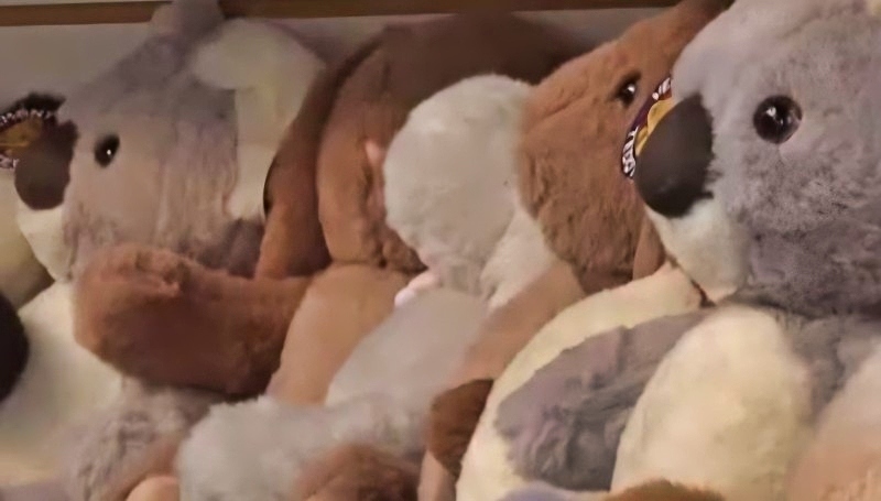 Teddy Bears Are Popular With Kids - @wcax-tvchannel3news - YouTube