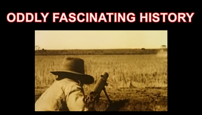 The Australian Emu War via ABC Archives - YouTube