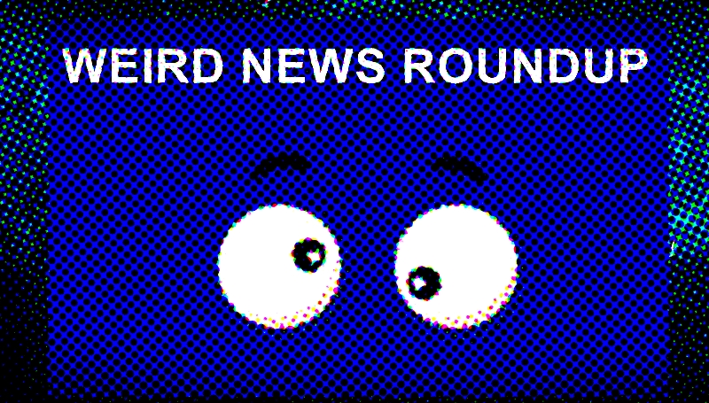 weird news stories