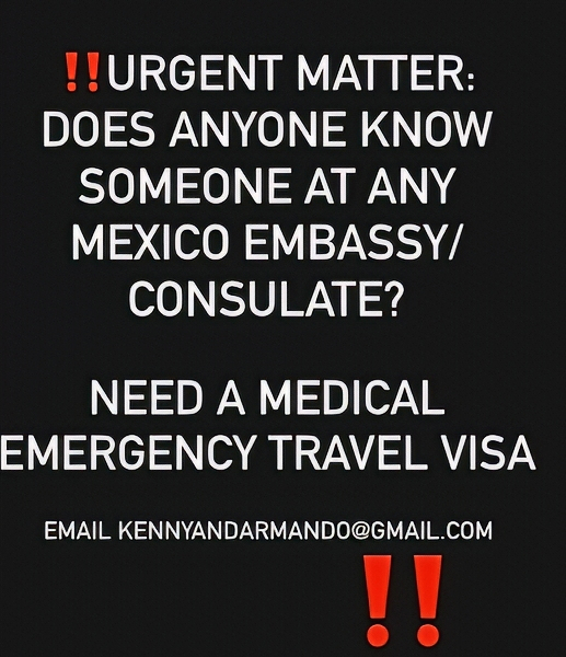 Armando's urgent message on Instagram
