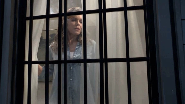 The Young and The Restless: Diane Jenkins Abbott (Susan Walters)