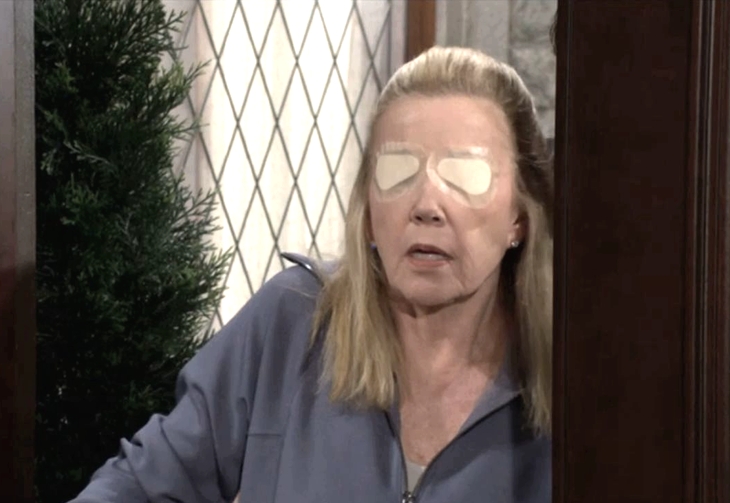 The Young and The Restless: Nikki Newman (Melody Thomas Scott)